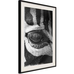 Arkiio Affisch Zebra Eye [Poster] 30x45 Poster